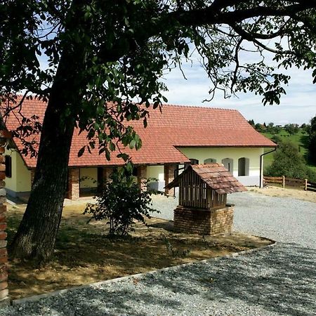 Apartments Mali Raj Dolenci Экстерьер фото